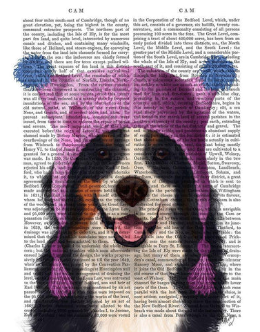 Bernese And Bobble Hat White Modern Wood Framed Art Print with Double Matting by Fab Funky