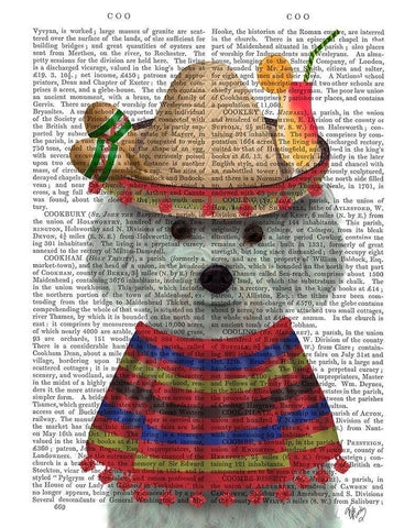 Bichon Frise in Mexican Costume Black Ornate Wood Framed Art Print with Double Matting by Fab Funky