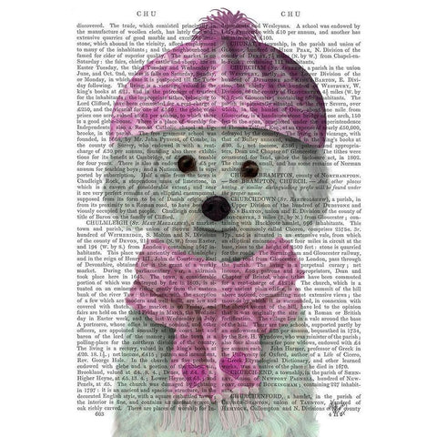 Bichon Frise in Pink Bobble Hat Gold Ornate Wood Framed Art Print with Double Matting by Fab Funky