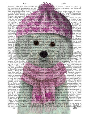 Bichon Frise in Pink Bobble Hat White Modern Wood Framed Art Print with Double Matting by Fab Funky