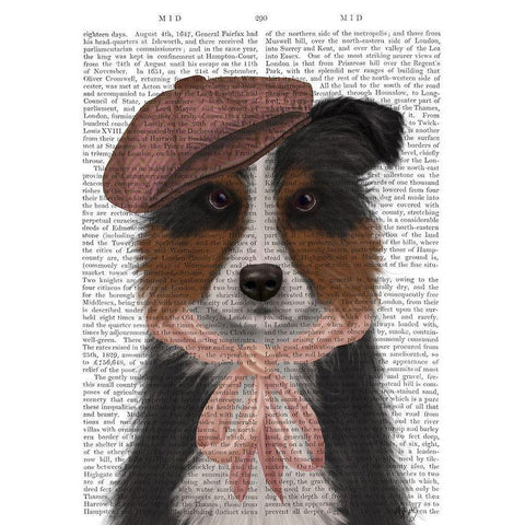 Border Collie Hat and Pink Scarf Black Modern Wood Framed Art Print with Double Matting by Fab Funky