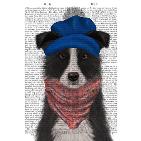 Border Collie in Blue Bobble Hat Black Modern Wood Framed Art Print with Double Matting by Fab Funky