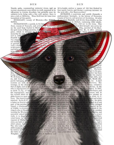 Border Collie in Red and White Floppy Hat White Modern Wood Framed Art Print with Double Matting by Fab Funky
