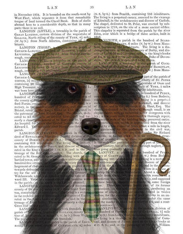 Border Collie Shepherd White Modern Wood Framed Art Print with Double Matting by Fab Funky