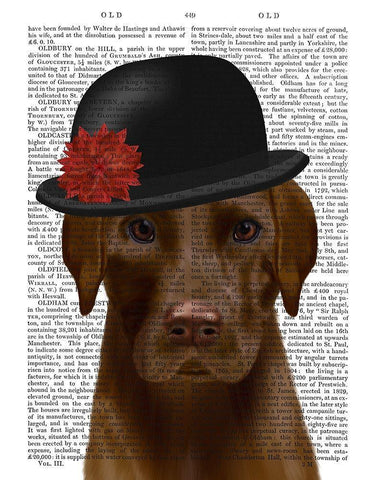 Chocolate Labrador and Bowler White Modern Wood Framed Art Print with Double Matting by Fab Funky