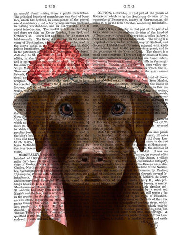 Chocolate Labrador Hat and Pink Scarf White Modern Wood Framed Art Print with Double Matting by Fab Funky