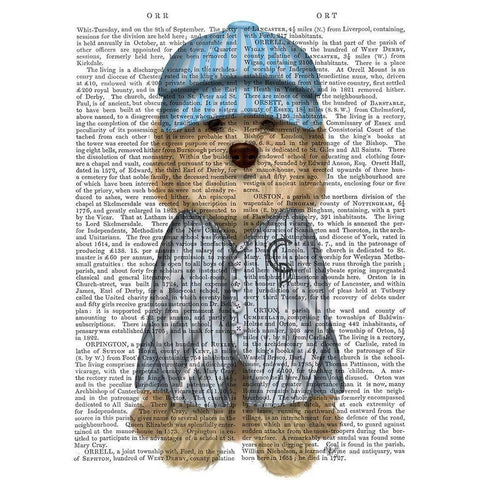 Cockerpoo Baseball White Modern Wood Framed Art Print by Fab Funky