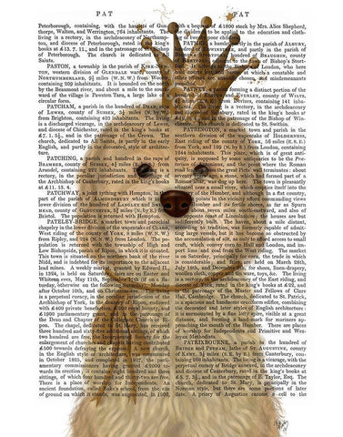 Cockerpoo Princess White Modern Wood Framed Art Print with Double Matting by Fab Funky
