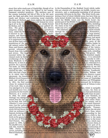 German Shepherd Edelweiss White Modern Wood Framed Art Print with Double Matting by Fab Funky