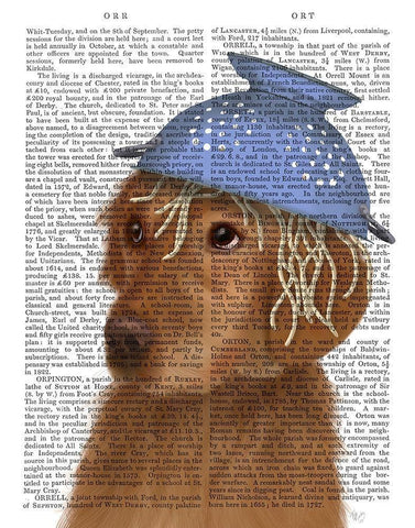 Golden Retriever and Spaghetti White Modern Wood Framed Art Print with Double Matting by Fab Funky