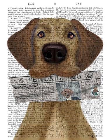 Great Dane Newspaper White Modern Wood Framed Art Print with Double Matting by Fab Funky