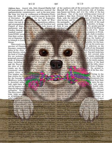 Husky and Rope Bone White Modern Wood Framed Art Print with Double Matting by Fab Funky