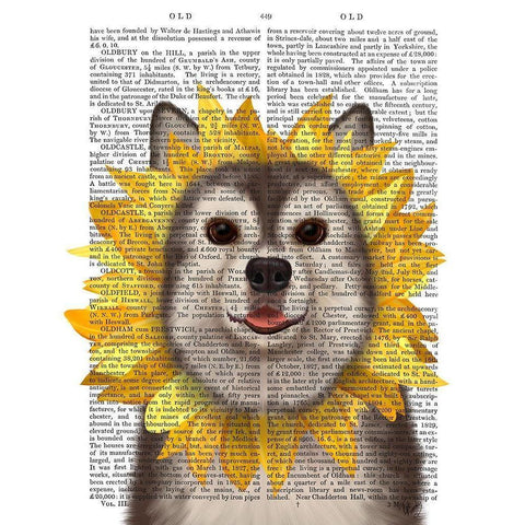 Husky Sunflower White Modern Wood Framed Art Print by Fab Funky