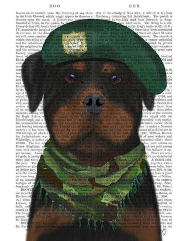 Rottweiler Military Dog White Modern Wood Framed Art Print with Double Matting by Fab Funky