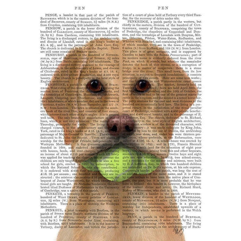 Yellow Labrador and Tennis Balls Black Modern Wood Framed Art Print with Double Matting by Fab Funky