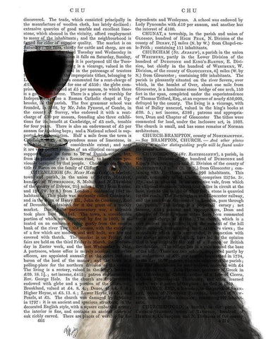 Dog Au Vin, Bernese Black Ornate Wood Framed Art Print with Double Matting by Fab Funky