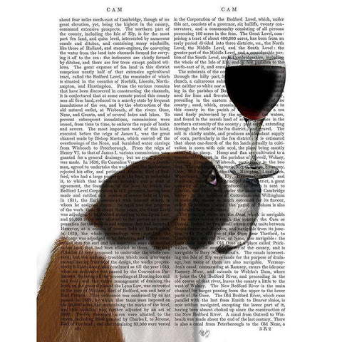 Dog Au Vin, St Bernard White Modern Wood Framed Art Print by Fab Funky