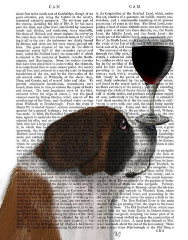 Dog Au Vin, St Bernard White Modern Wood Framed Art Print with Double Matting by Fab Funky