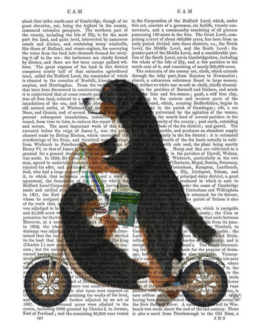 Bernese Scooter White Modern Wood Framed Art Print with Double Matting by Fab Funky