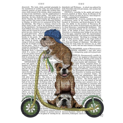 English Bulldog Scooter Black Modern Wood Framed Art Print with Double Matting by Fab Funky