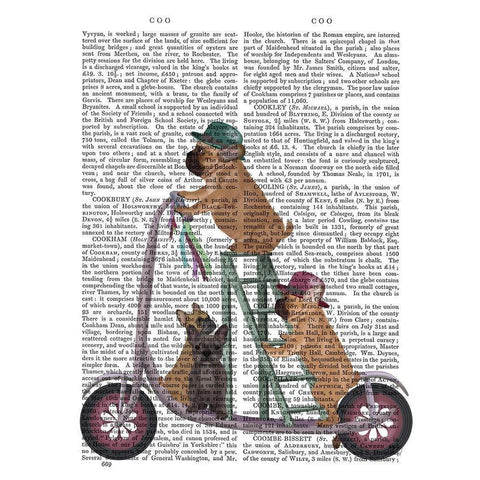 French Bulldog Scooter Black Modern Wood Framed Art Print with Double Matting by Fab Funky
