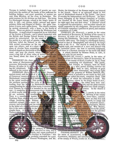 French Bulldog Scooter White Modern Wood Framed Art Print with Double Matting by Fab Funky
