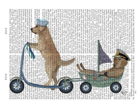 Golden Retriever Scooter White Modern Wood Framed Art Print with Double Matting by Fab Funky