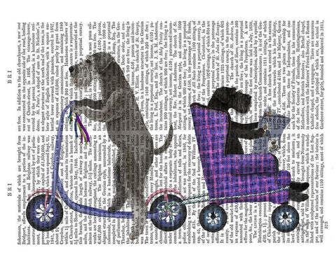 Schnauzer Scooter White Modern Wood Framed Art Print with Double Matting by Fab Funky