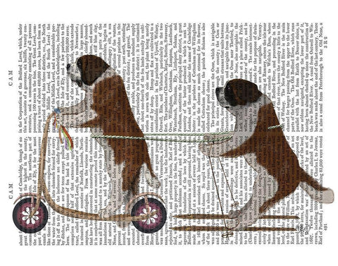 StBernard Scooter White Modern Wood Framed Art Print with Double Matting by Fab Funky