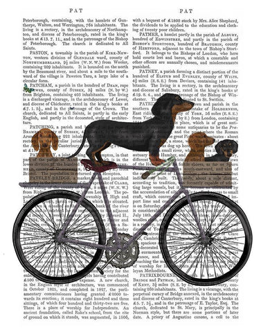 Dachshunds on Bicycle White Modern Wood Framed Art Print with Double Matting by Fab Funky
