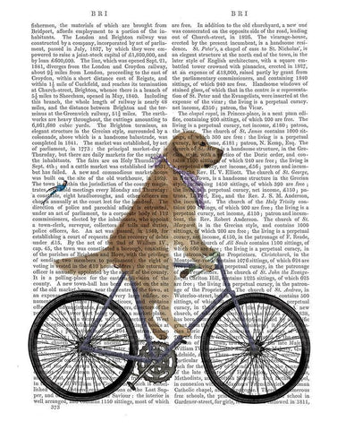 Golden Retriever Bicycle White Modern Wood Framed Art Print with Double Matting by Fab Funky