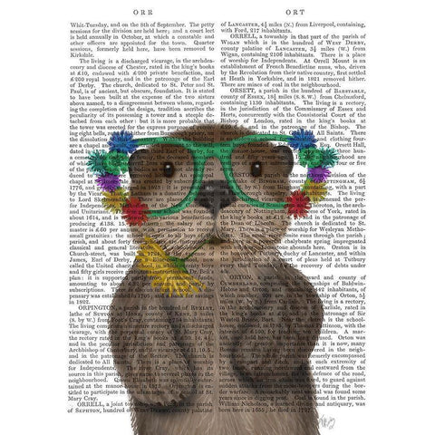 Otter and Flower Glasses Gold Ornate Wood Framed Art Print with Double Matting by Fab Funky