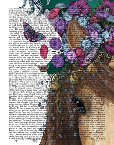 Horse Mad Hatter, Close Up White Modern Wood Framed Art Print with Double Matting by Fab Funky