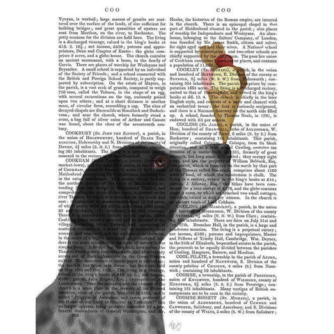 German Shorthaired Pointer Ice Cream, Black Black Modern Wood Framed Art Print with Double Matting by Fab Funky