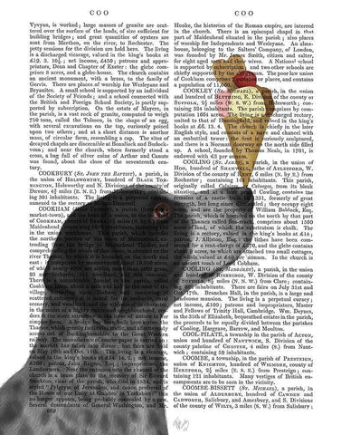 German Shorthaired Pointer Ice Cream, Black White Modern Wood Framed Art Print with Double Matting by Fab Funky