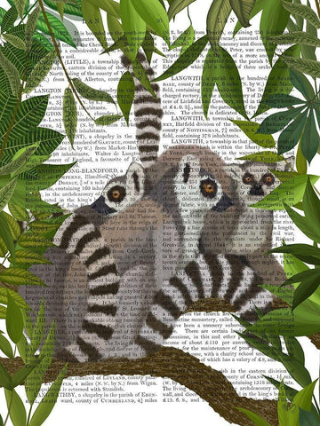 Lemur Family in Canopy Black Ornate Wood Framed Art Print with Double Matting by Fab Funky
