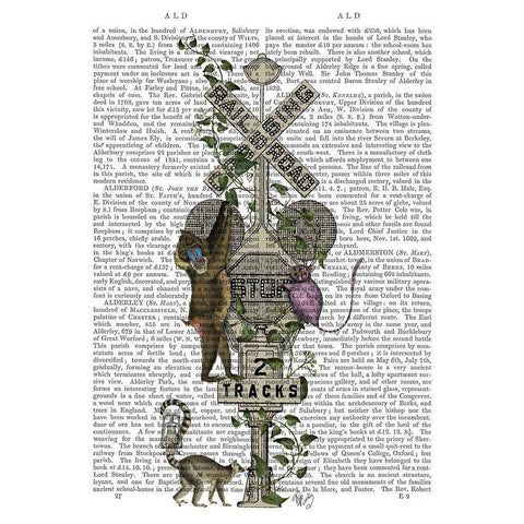 Monkey Crossing Black Modern Wood Framed Art Print with Double Matting by Fab Funky