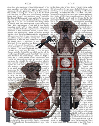 Great Dane Chopper and Sidecar White Modern Wood Framed Art Print with Double Matting by Fab Funky
