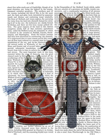 Husky Chopper and Sidecar White Modern Wood Framed Art Print with Double Matting by Fab Funky