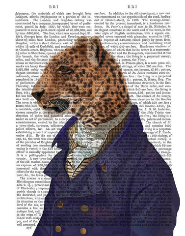 Leopard in Blue Jacket White Modern Wood Framed Art Print with Double Matting by Fab Funky