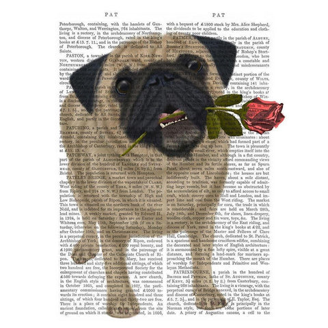 Pug and Rose Black Modern Wood Framed Art Print with Double Matting by Fab Funky