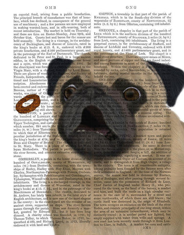 Pug, Catch 1 White Modern Wood Framed Art Print with Double Matting by Fab Funky