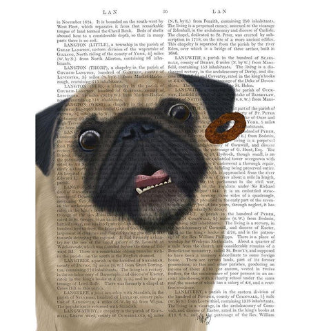 Pug, Catch 2 Black Modern Wood Framed Art Print with Double Matting by Fab Funky