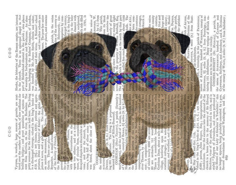 Pugs and Cloth Bone Black Ornate Wood Framed Art Print with Double Matting by Fab Funky