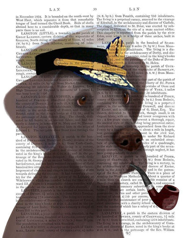 Great Dane Sea Dog White Modern Wood Framed Art Print with Double Matting by Fab Funky