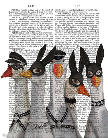 Geese Guys Book Print Black Ornate Wood Framed Art Print with Double Matting by Fab Funky