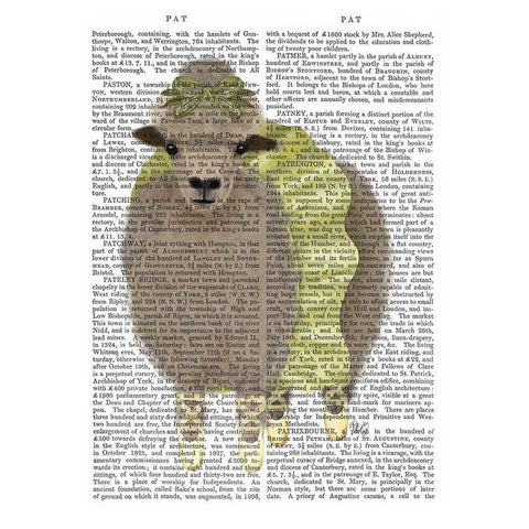 Ballet Sheep 2 Book Print Gold Ornate Wood Framed Art Print with Double Matting by Fab Funky