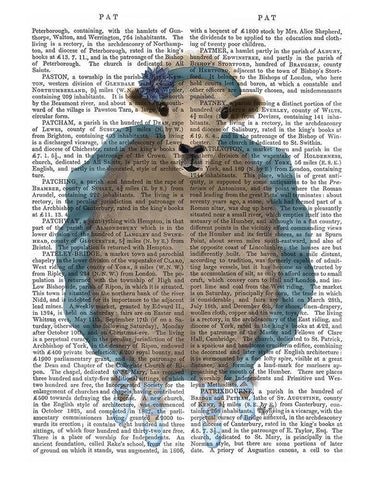 Ballet Sheep 3 Book Print Black Ornate Wood Framed Art Print with Double Matting by Fab Funky