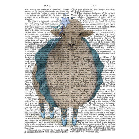 Ballet Sheep 5 Book Print Gold Ornate Wood Framed Art Print with Double Matting by Fab Funky