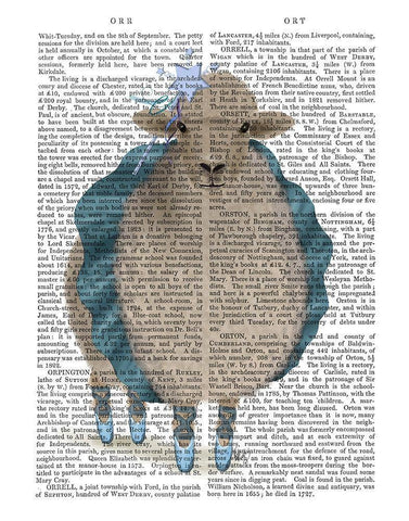 Ballet Sheep 5 Book Print White Modern Wood Framed Art Print with Double Matting by Fab Funky
